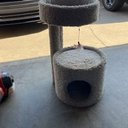 cat house