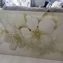 New White Flower Wall Art Picture 47” X 30”