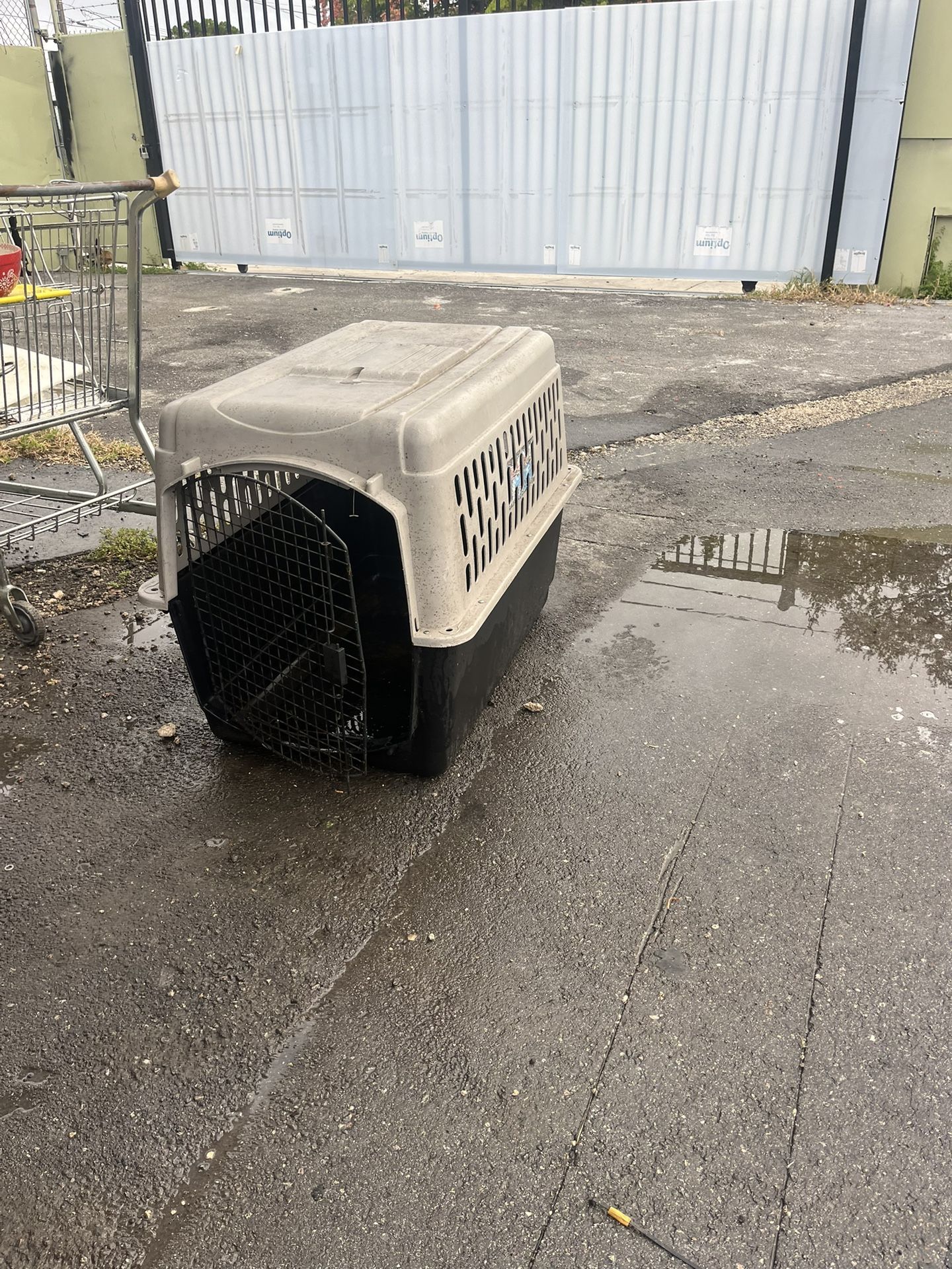 Large Animal kennel