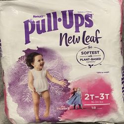 Huggies Pull Up Training Underwear. 2T-3T