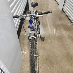 Mens Bike