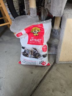 Cat Litter