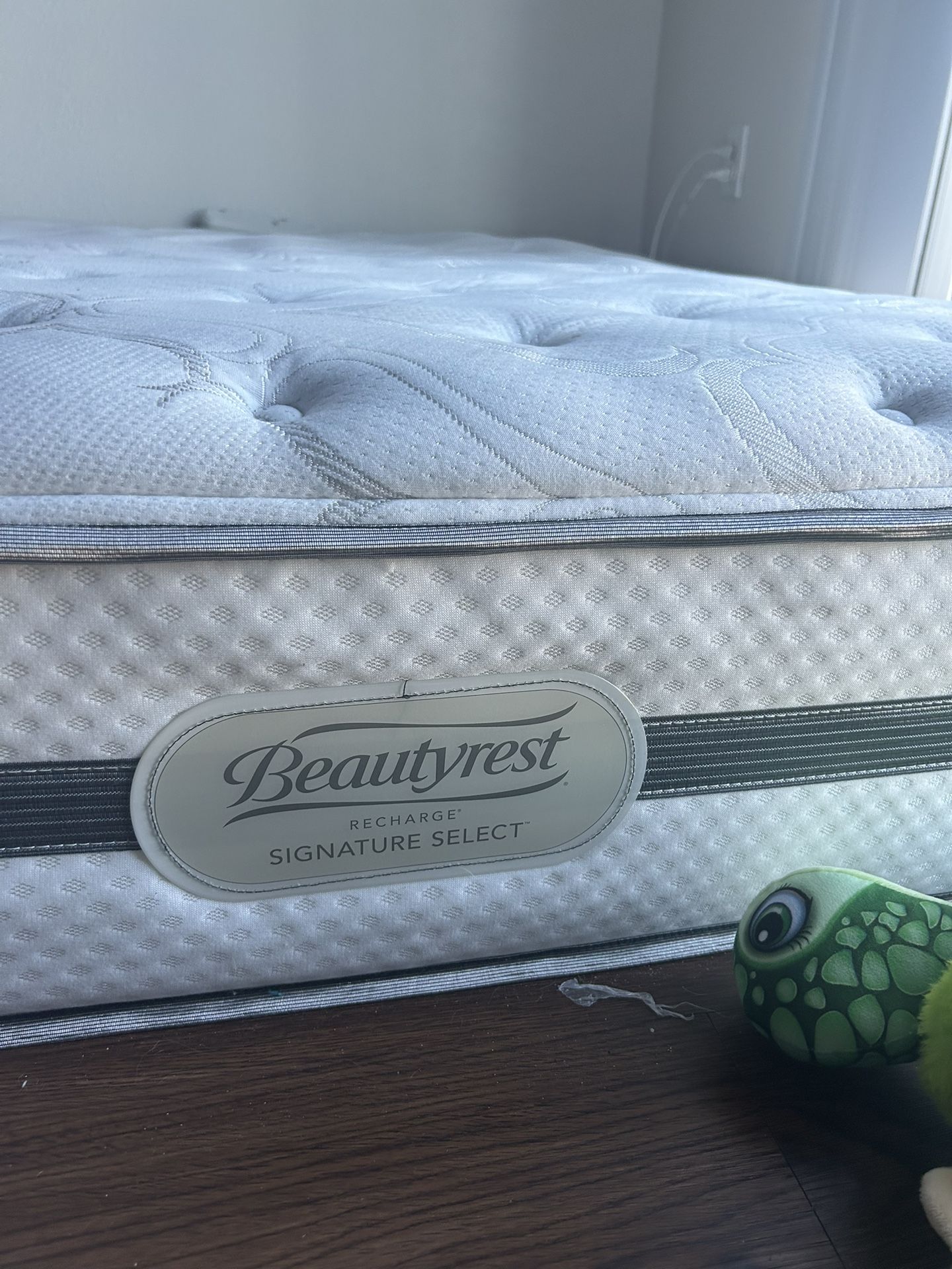 Queen Mattress 