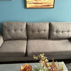 Gray couch