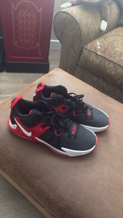 LJ size 13