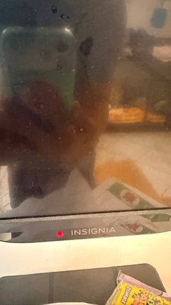 Insignia 32 inch Roku TV - Works Great