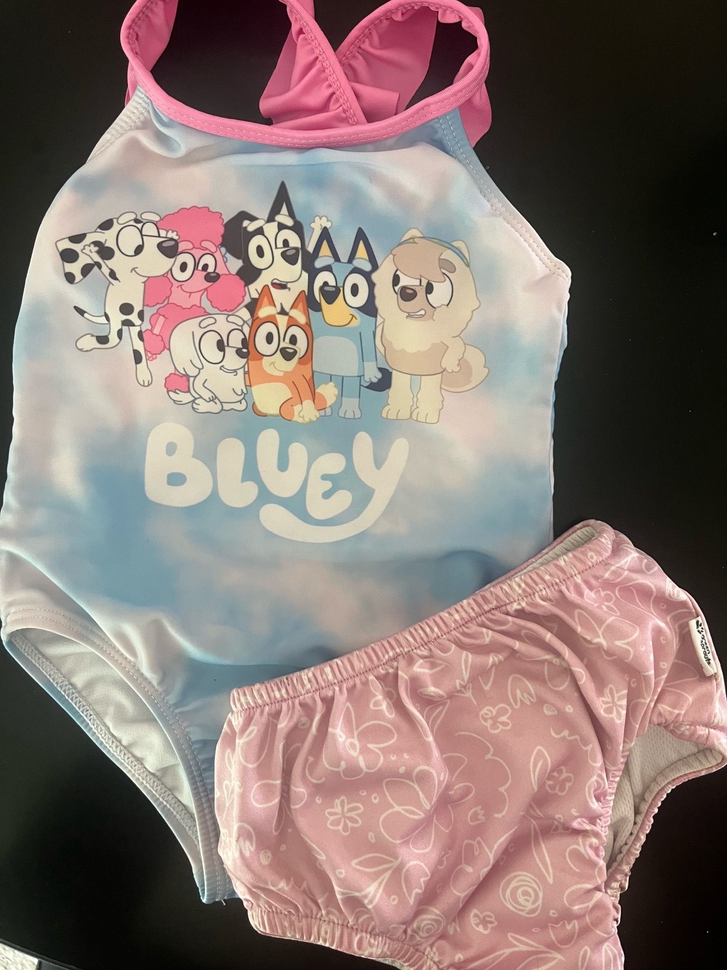 Bluey 2T Swimsuit and Swim Diaper