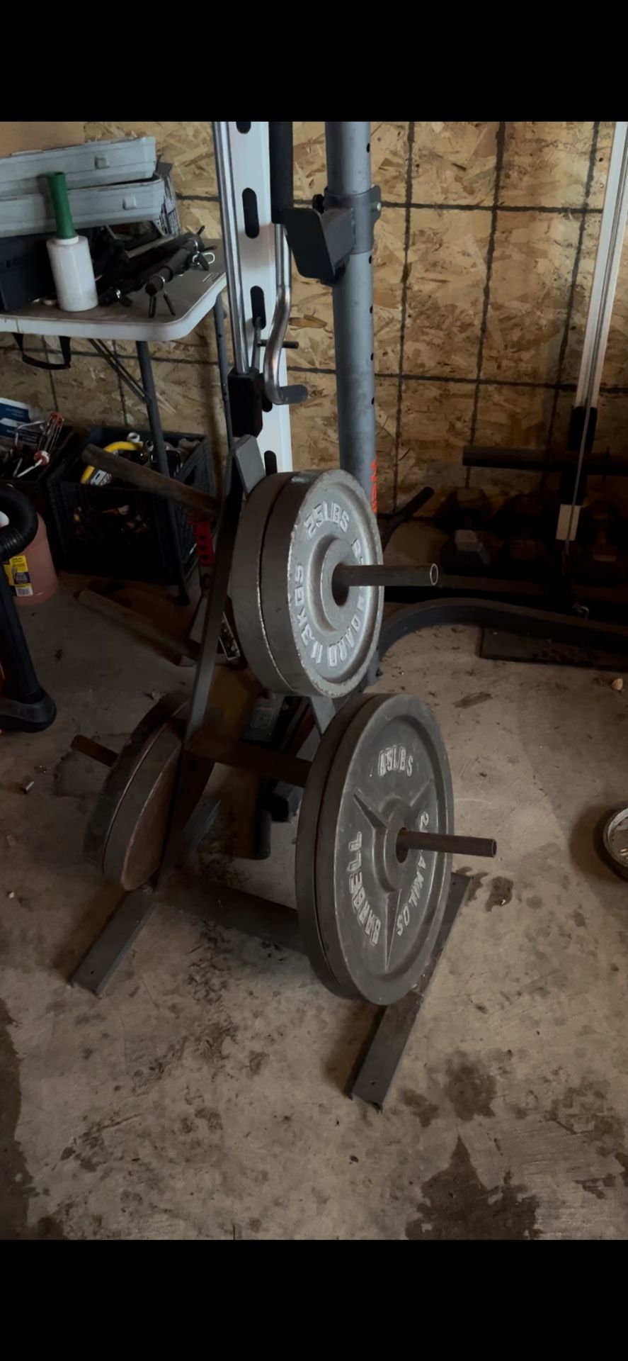 Real Iron Weights