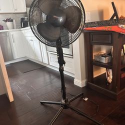 Oscillating Fan