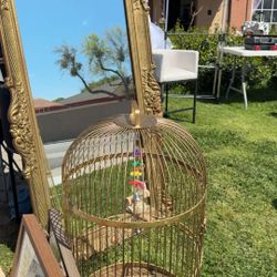Bird Cage 