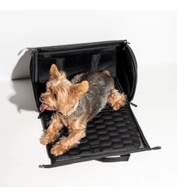 Wild One - Pet Travel Carrier