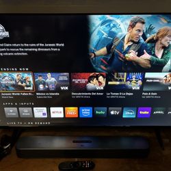 44” VIZIO Smart TV With Remote & Wall Mount