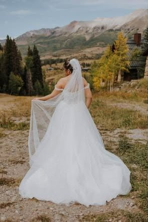 Cathedral Length Ivory Veil with Beading