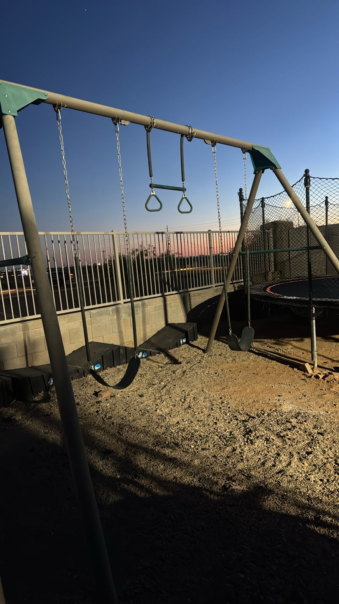 Lifetime Swing Set