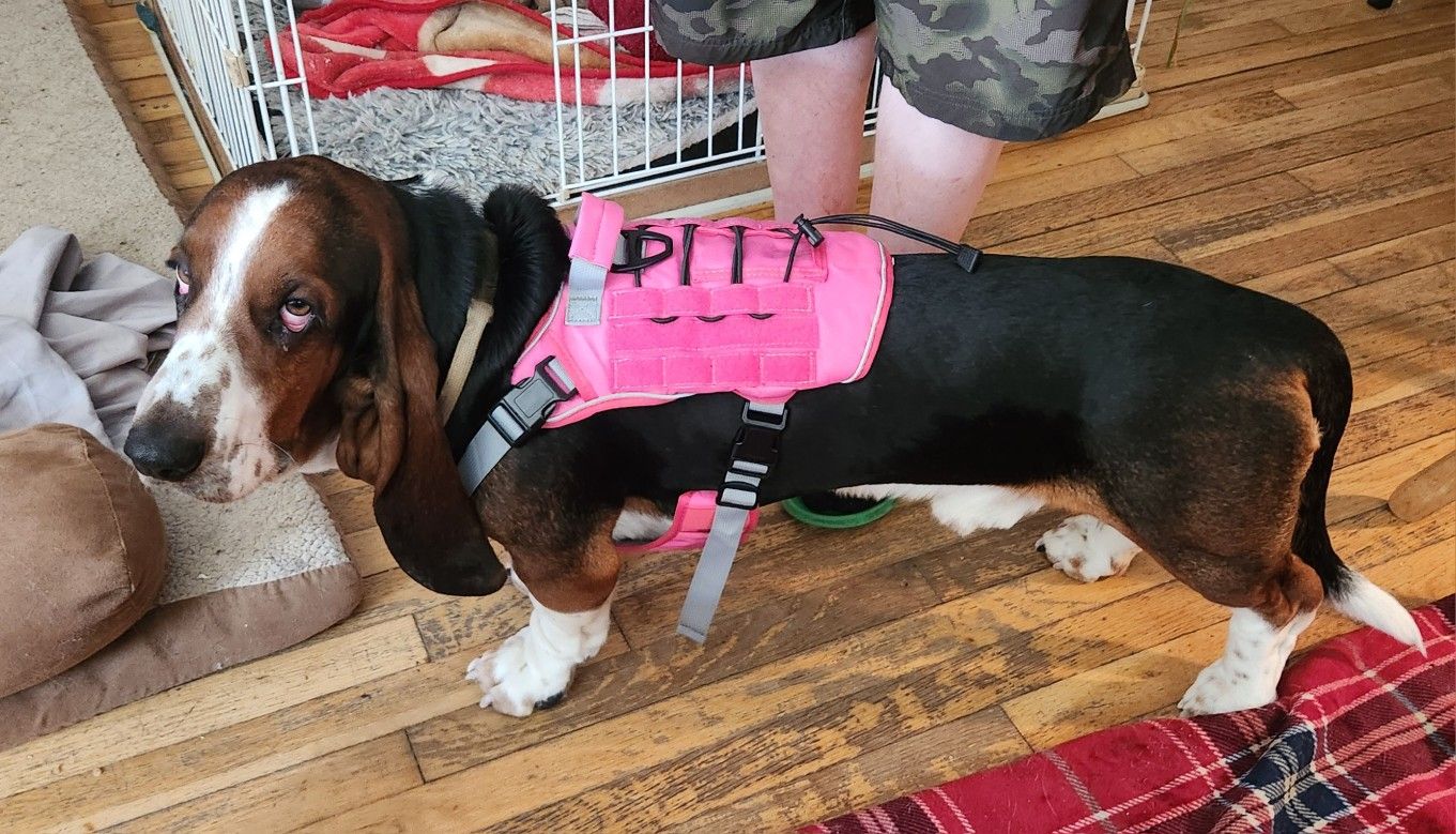 Tactical Dog Harness
