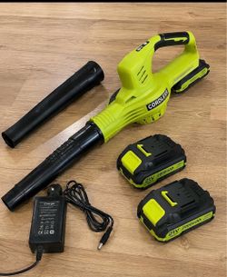 21V Cordless Leaf Blower with 2 Batteries and Charger