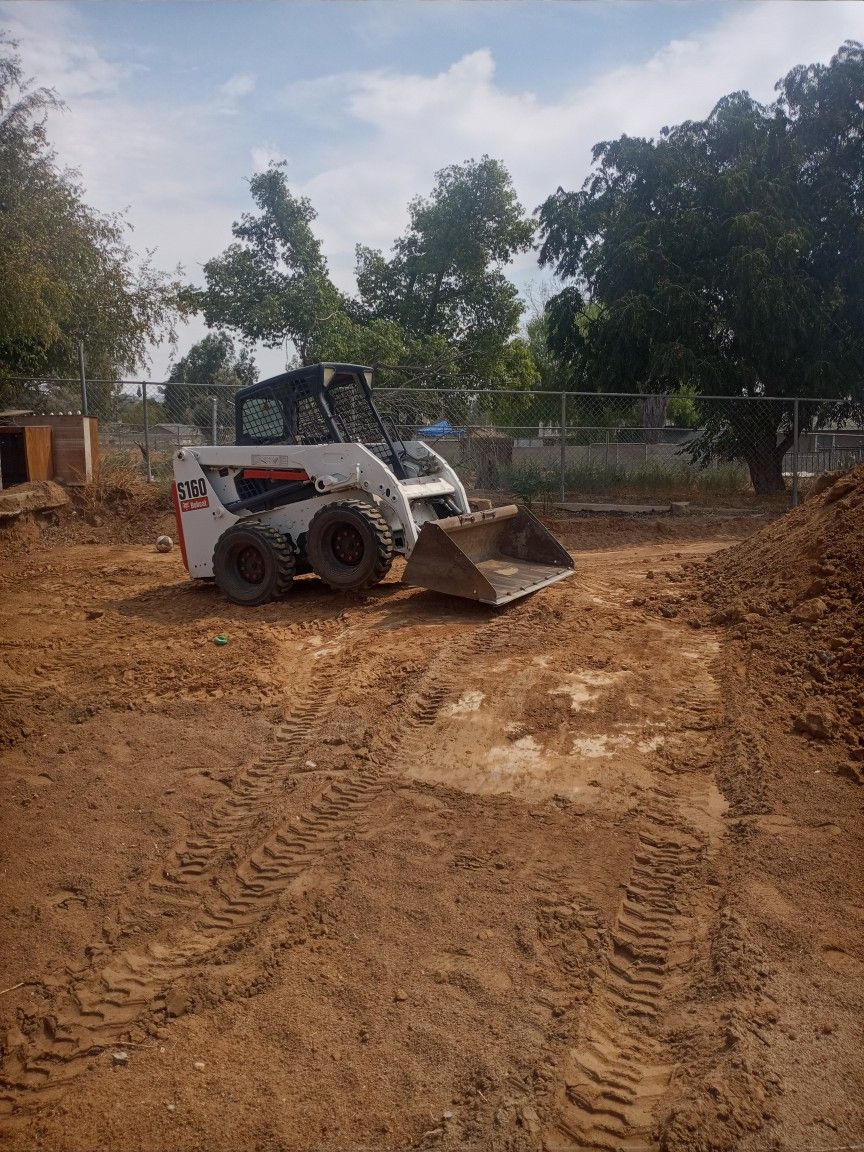 Bobcat Avaliable