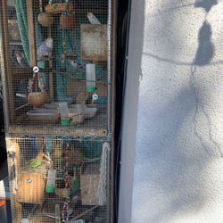 Bird Cage