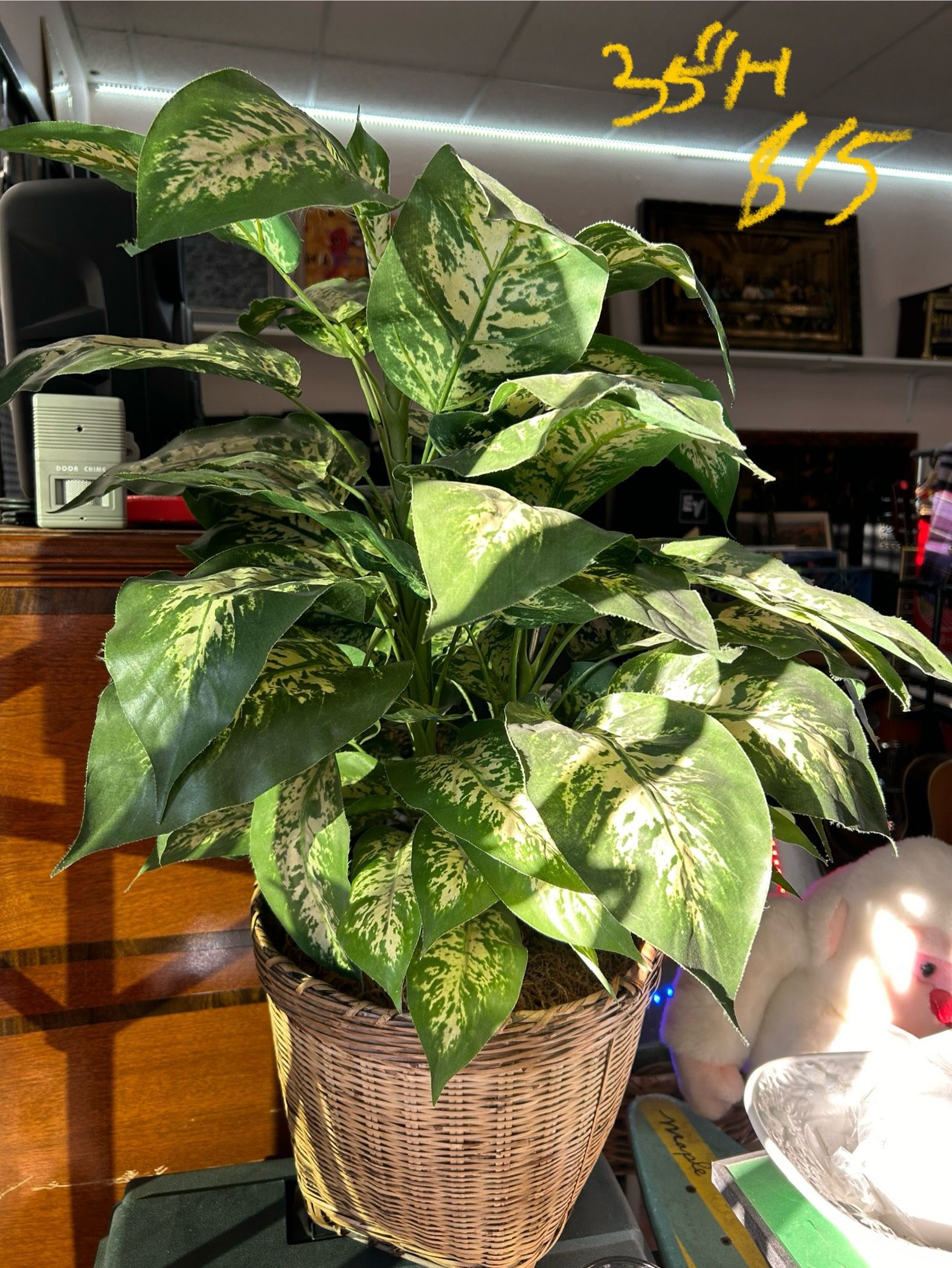 Artificial Plant. Fake Plant. Disffenbachia Seguine