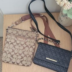 Coach & Steve Madden Purses