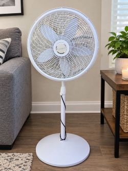 Fan