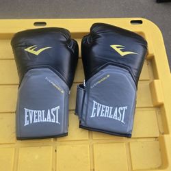 Everlast Boxing training gloves