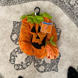 Pet Costume, Pumpkin (Halloween)