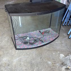 Fish Tank