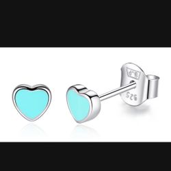 Cute new! Stud Earrings Tiffany Color $20