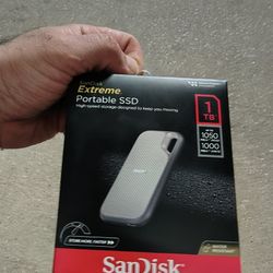 SanDisk 1TB SSD