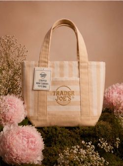 Trader Joe's Striped Canvas Mini Tote Set