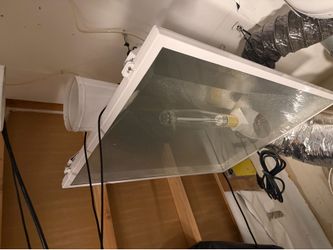 Whole grow room setup lights everything you need