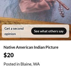 Native American Picture
