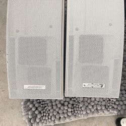 Bose Outdoor Speakers