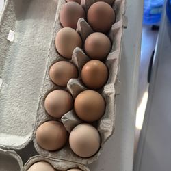 Fresh Organic Eggs 