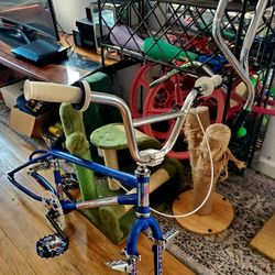 Old SCHOOL BMX 
