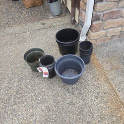 Free Plant Pots  17