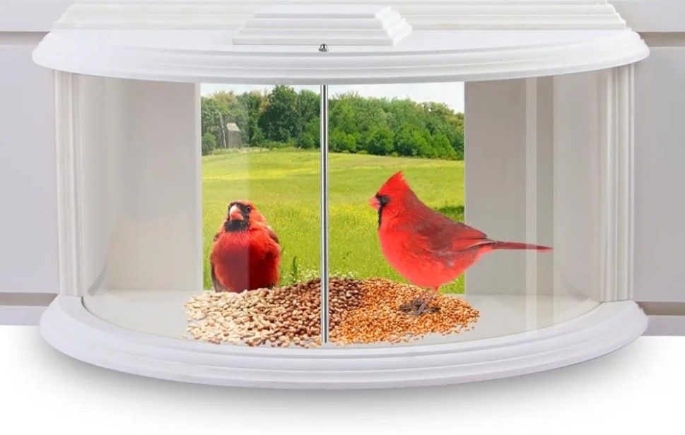 JOYSEUS Window Bird Feeder, 180° Clear View Bird Feeder, Durable and Elegant in-Window Bird Feeder for Watching Birds - Embrace The Delight of Bird Fe