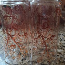 NEW! SET 4 TALL GLASSES