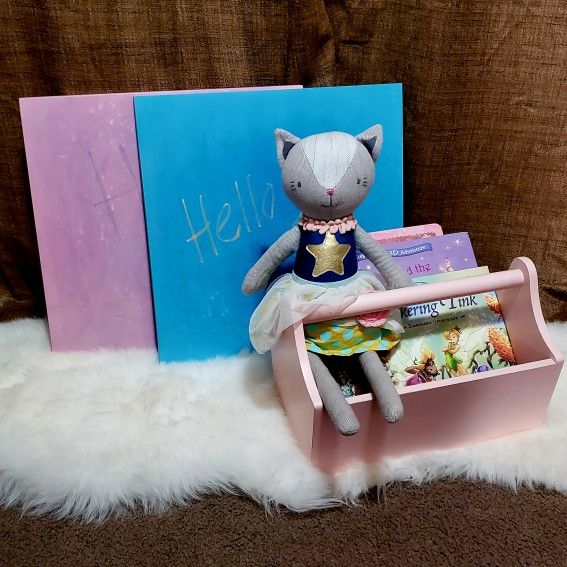 Pottery Barn Kids Pink Wooden Caddy/Book Holder/Magazine Rack & 2 Stanton Utility System https://offerup.com/redirect/?o=Q2hhbGtib2FyZHMuVEFSR0VU Pill