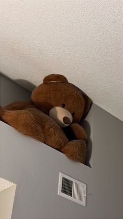 Giant teddy bear
