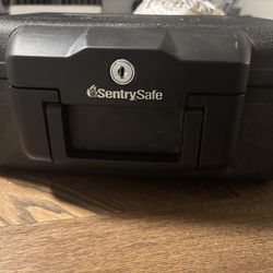Sentry safe