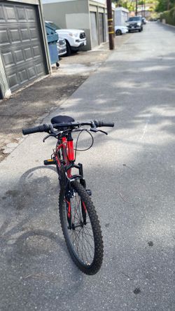 Mountain bike
