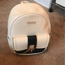 Nice Backpack For $25