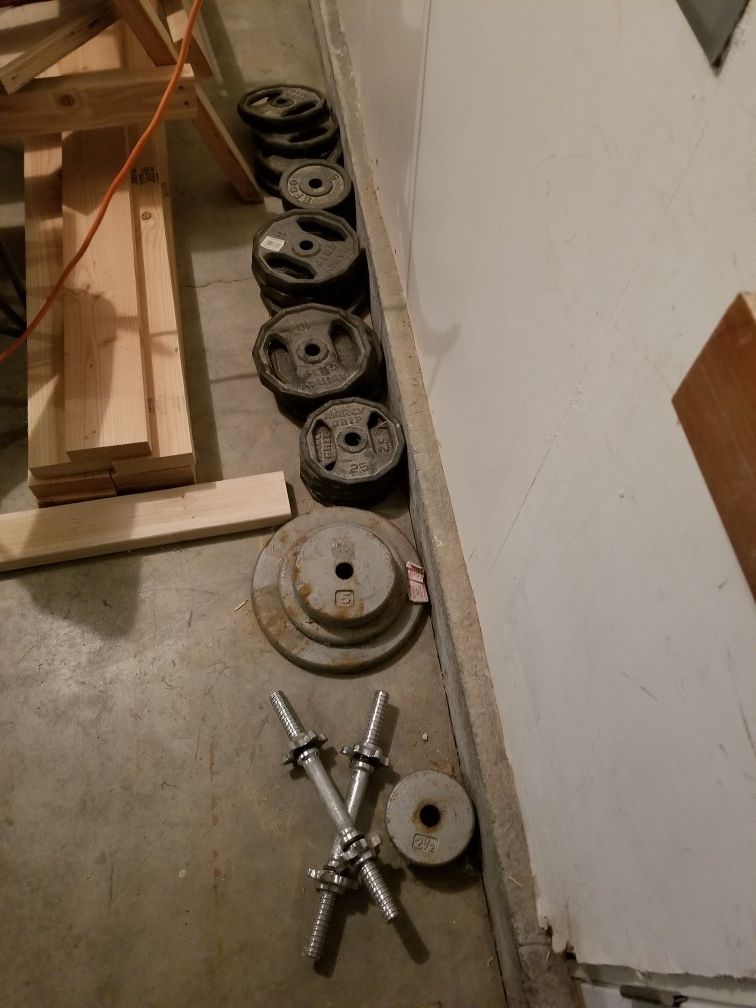 1in plate weights