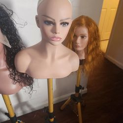 Realistic mannikin and stand 