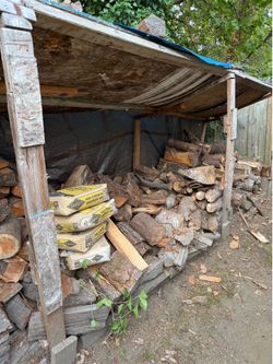 Seasoned fire wood