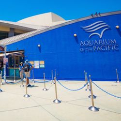Aquarium Of The Pacific 