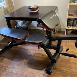 Exercise Bench