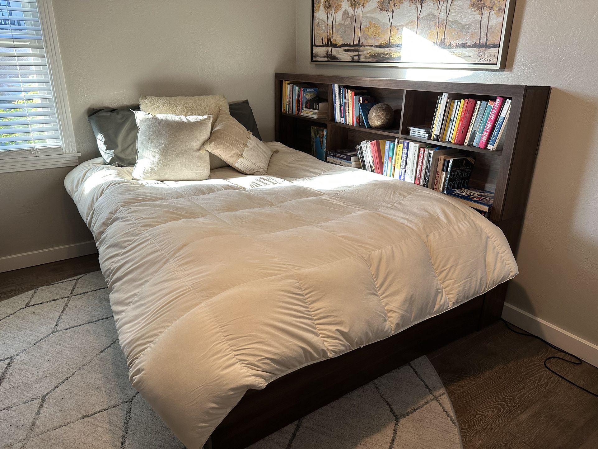 Full Sized Daybed With Shelving 